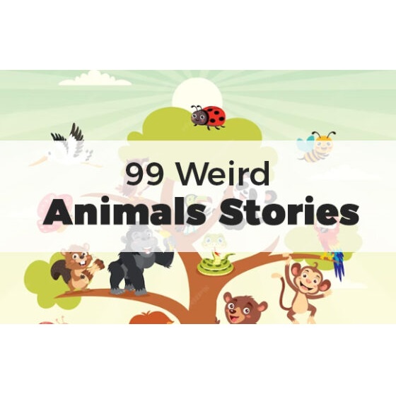 99 Weird Animals Stories