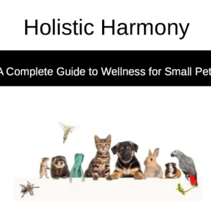 Holistic Harmony